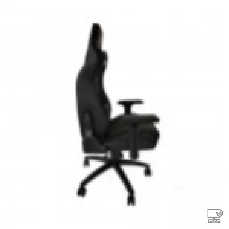 Ghế Chơi Game Warrior Maiden Series Black/Velvet (WGC307)